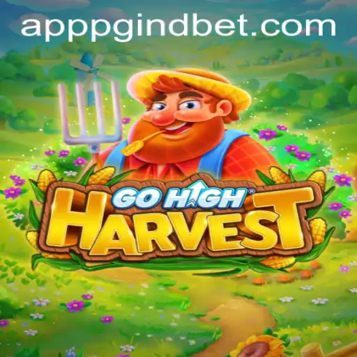 pgindbet PH Login Casino App